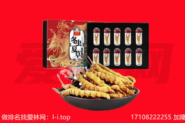 鸡西回收虫草.jpg